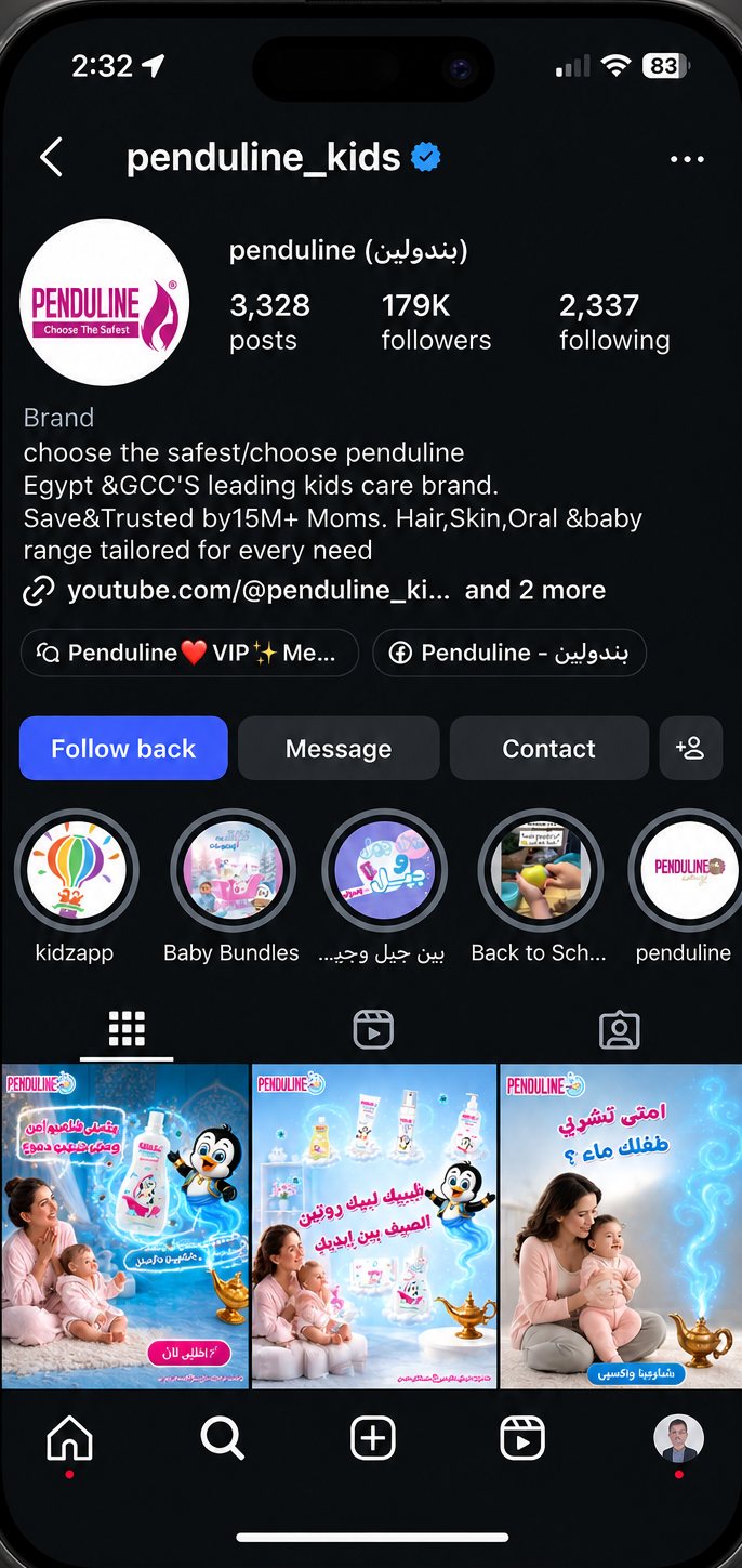The Penduline Baby Instagram profile: 3,328 posts, 179K followers, the bio, highlights and the top of the feed
